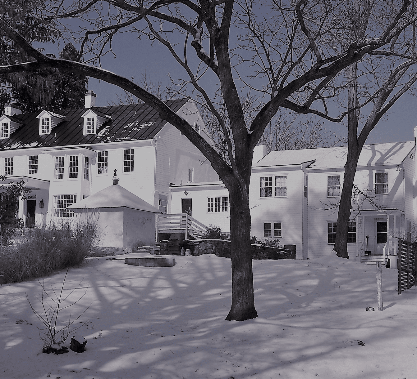 Evergreen Farm with Snow