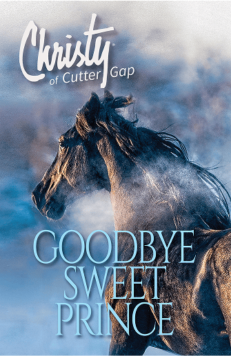 Goodbye Sweet Prince book of Christy of Cutter Gap's Collection