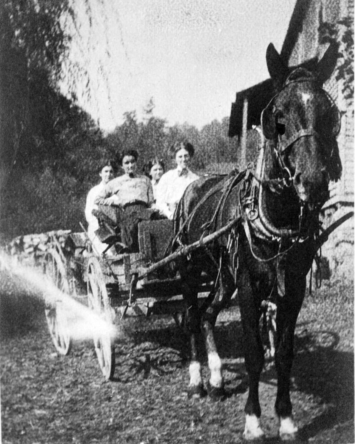 leonora whitaker and wagon
